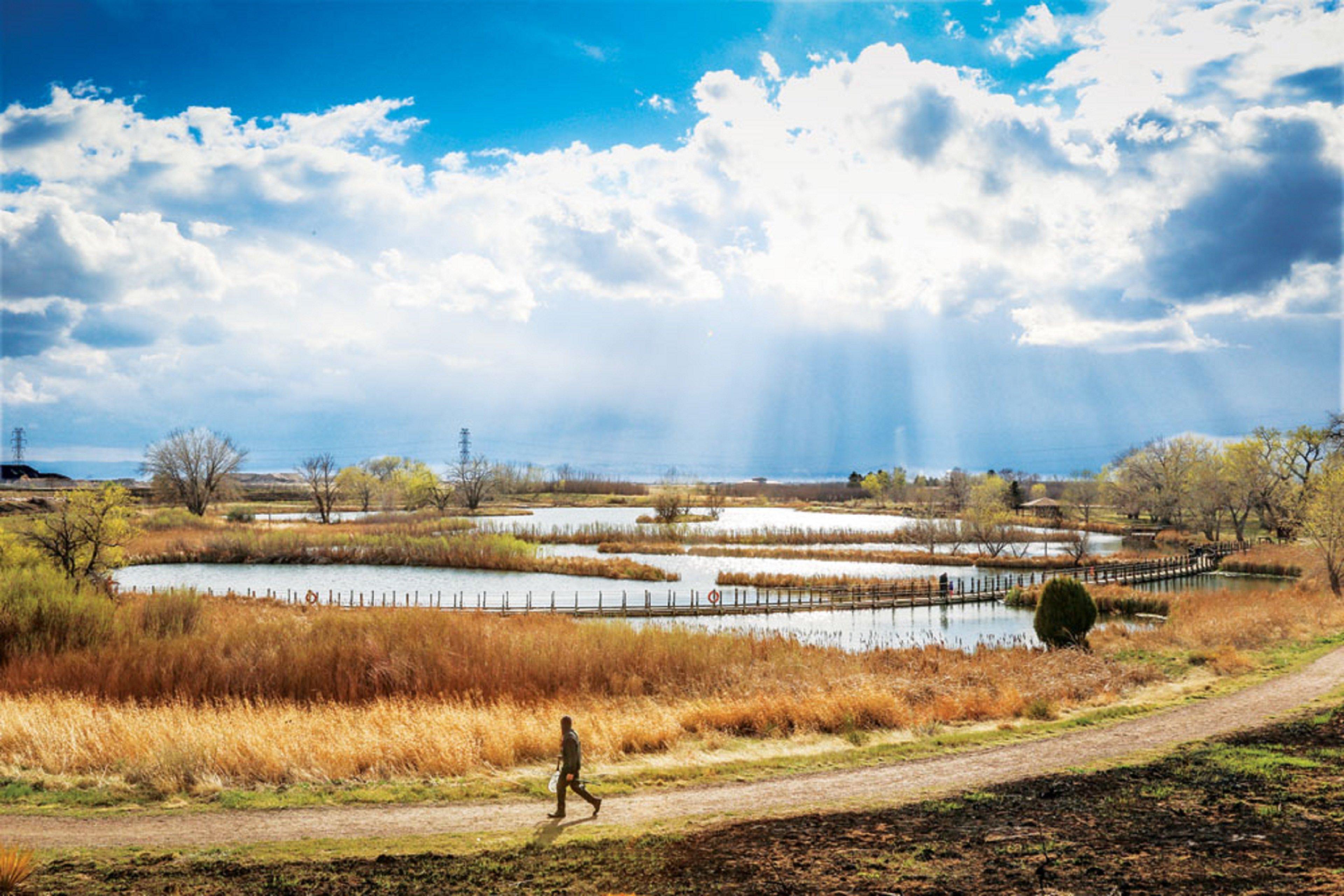Holiday Inn Denver East By Ihg Bagian luar foto